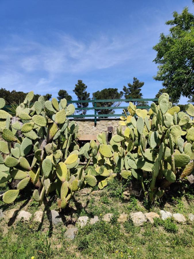 Agriturismo Le Pellicce Villa Riparbella Exterior foto