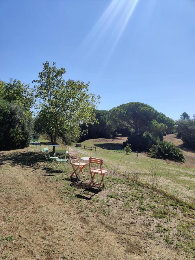 Agriturismo Le Pellicce Villa Riparbella Exterior foto